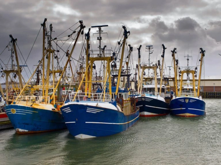Maximaal 15 Nederlandse pulsvissers